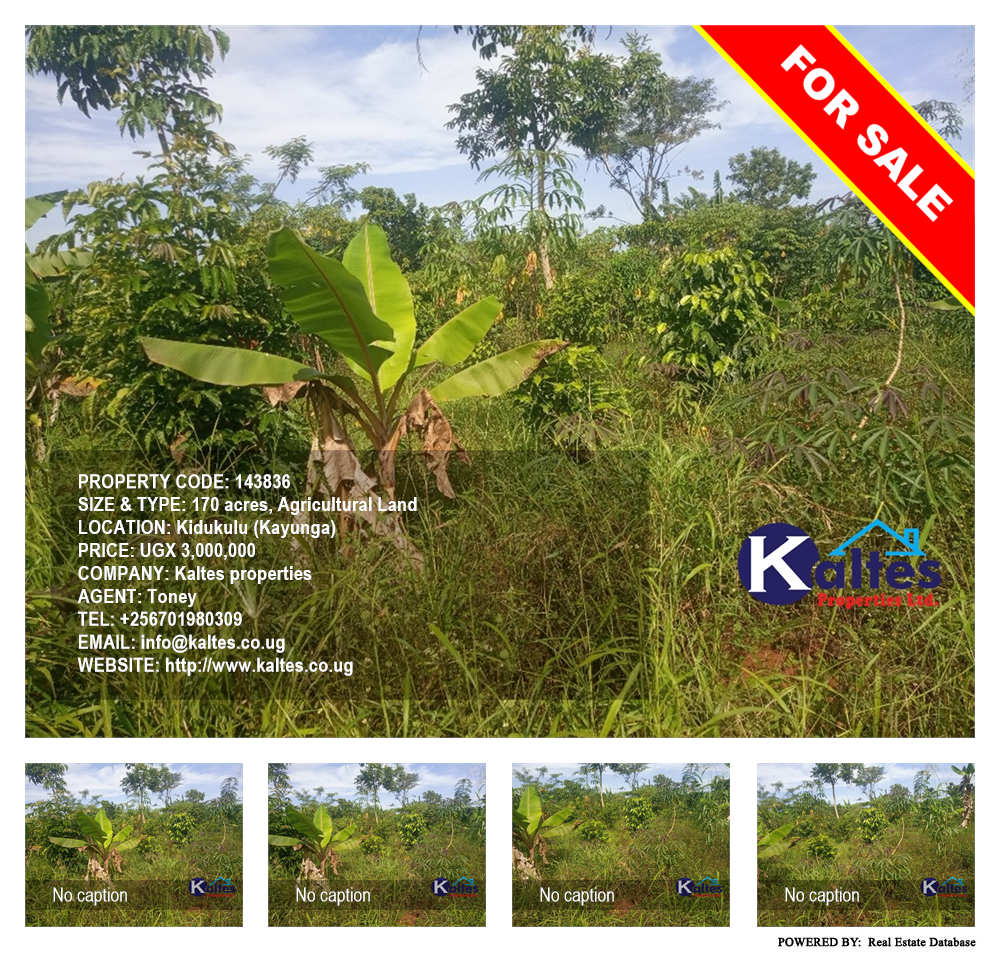 Agricultural Land  for sale in Kidukulu Kayunga Uganda, code: 143836