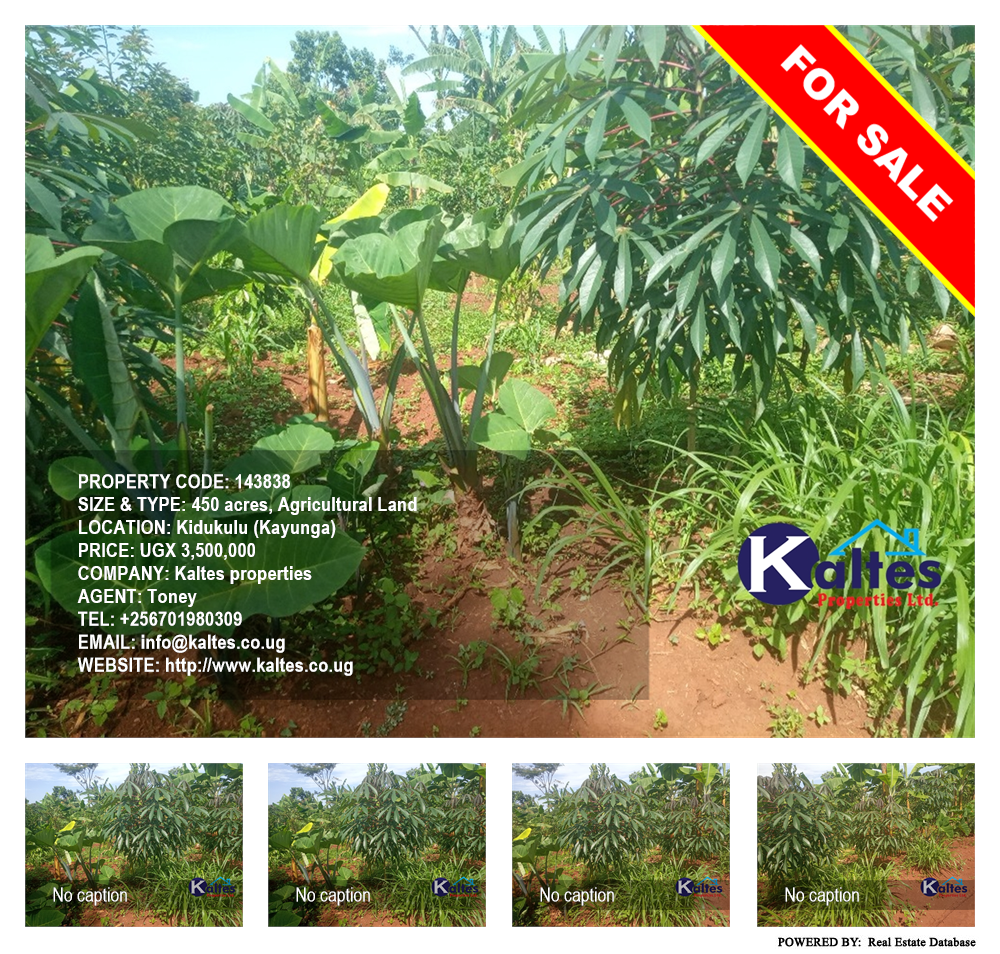 Agricultural Land  for sale in Kidukulu Kayunga Uganda, code: 143838