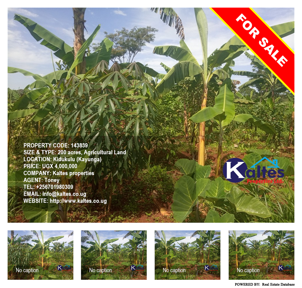 Agricultural Land  for sale in Kidukulu Kayunga Uganda, code: 143839