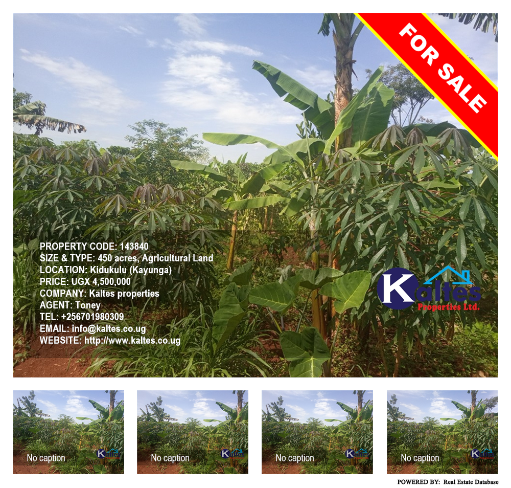 Agricultural Land  for sale in Kidukulu Kayunga Uganda, code: 143840