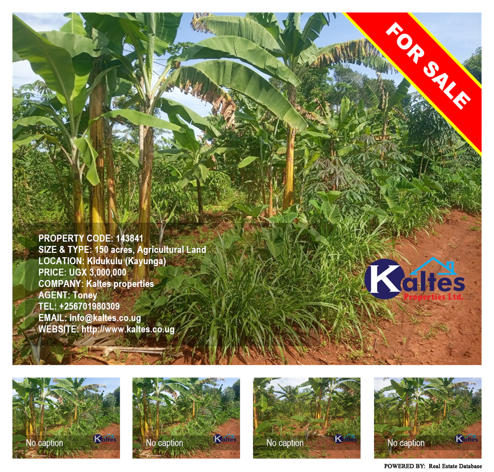 Agricultural Land  for sale in Kidukulu Kayunga Uganda, code: 143841
