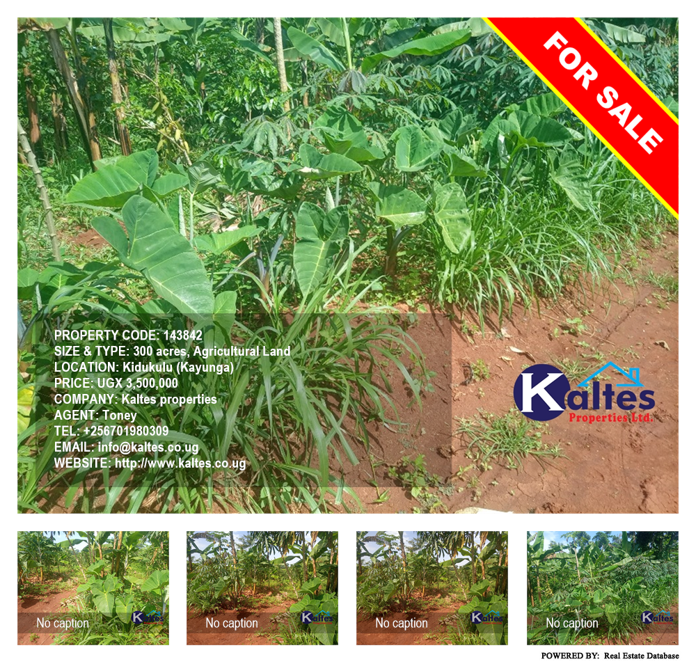 Agricultural Land  for sale in Kidukulu Kayunga Uganda, code: 143842