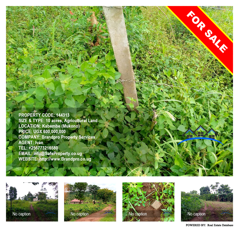 Agricultural Land  for sale in Kabembe Mukono Uganda, code: 144313