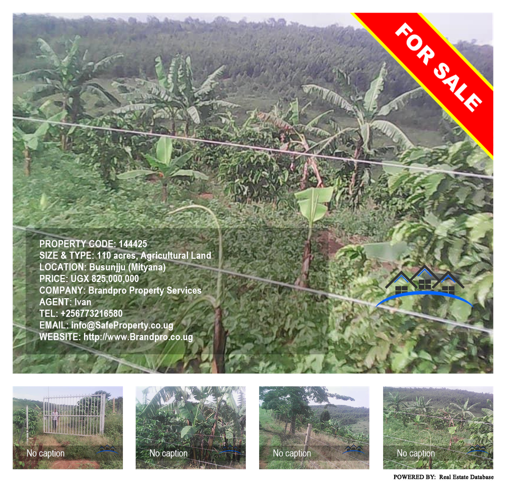 Agricultural Land  for sale in Busunjju Mityana Uganda, code: 144425