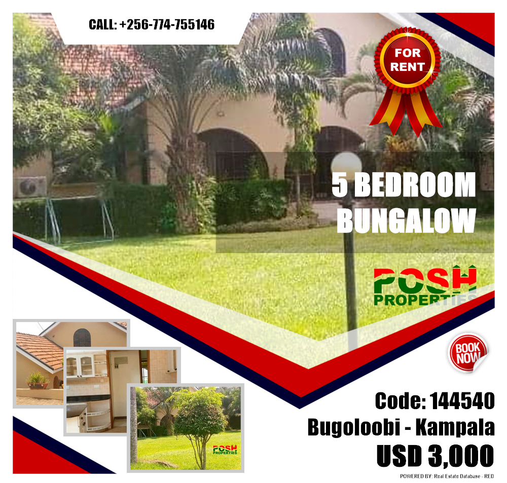 5 bedroom Bungalow  for rent in Bugoloobi Kampala Uganda, code: 144540