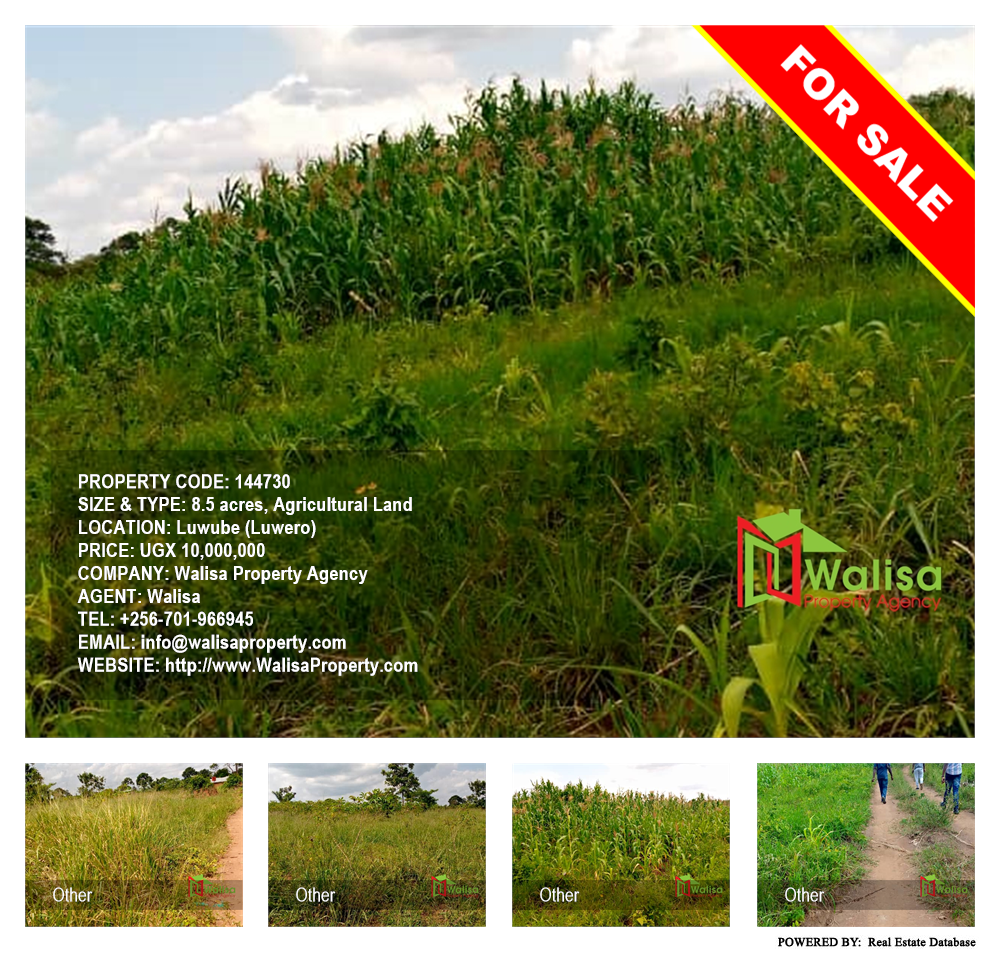 Agricultural Land  for sale in Luwube Luweero Uganda, code: 144730