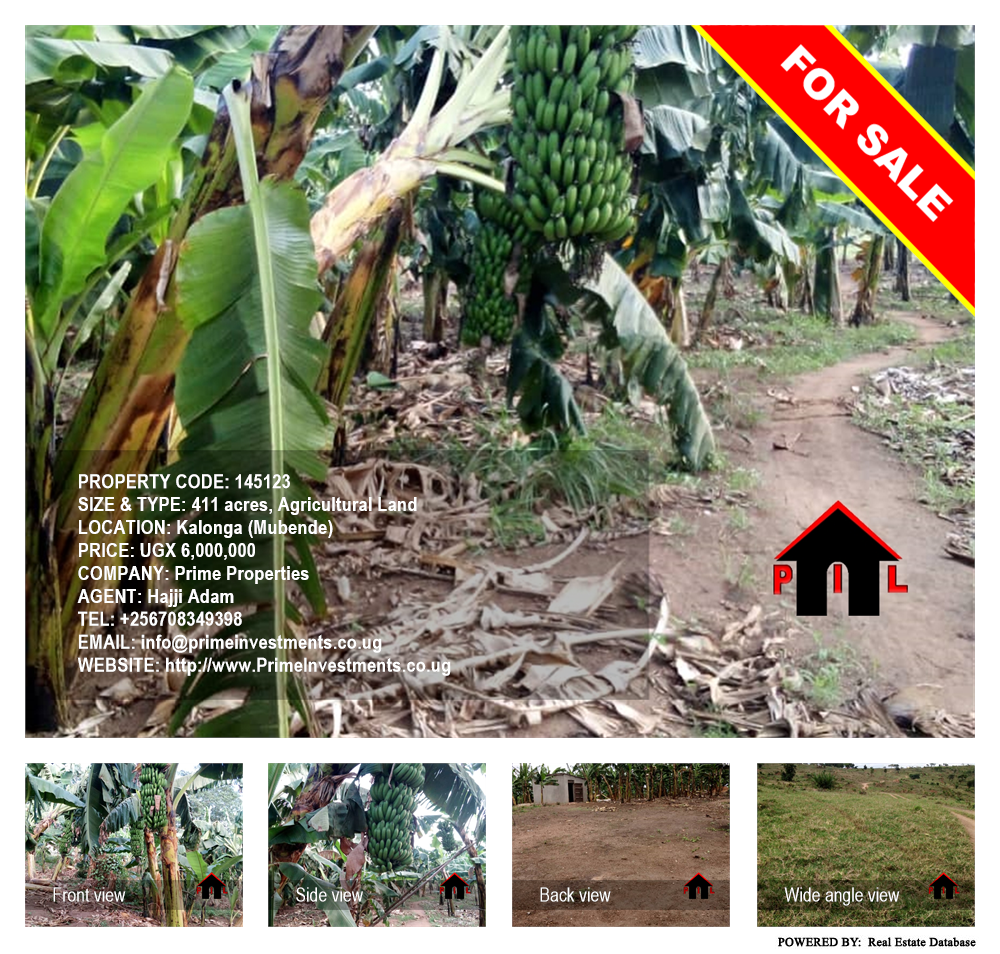 Agricultural Land  for sale in Kalonga Mubende Uganda, code: 145123