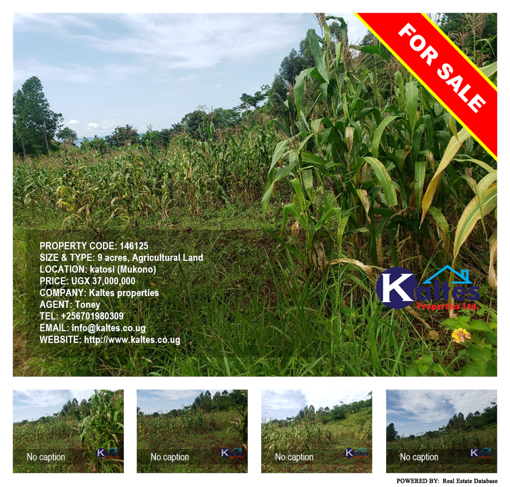 Agricultural Land  for sale in Katosi Mukono Uganda, code: 146125
