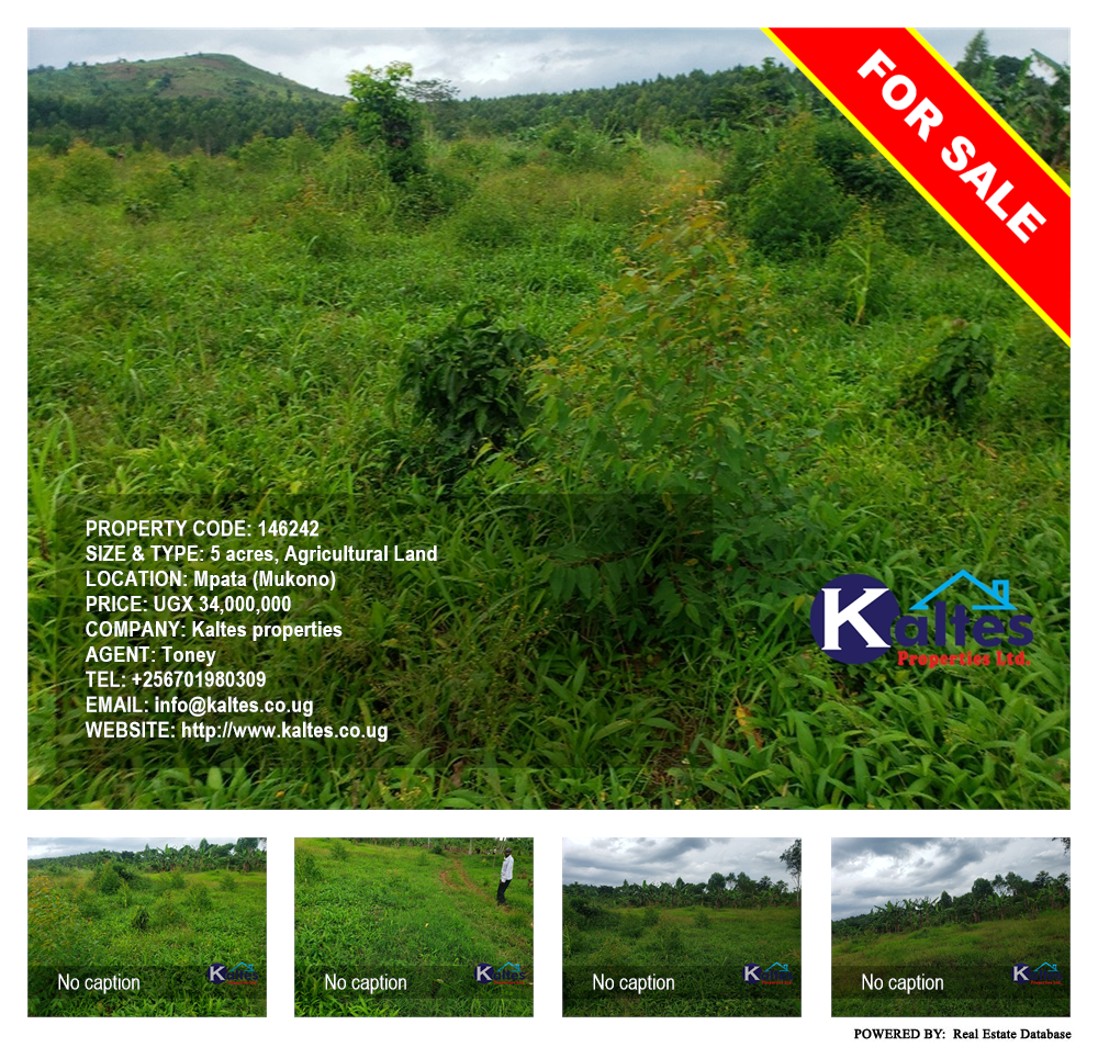 Agricultural Land  for sale in Mpata Mukono Uganda, code: 146242