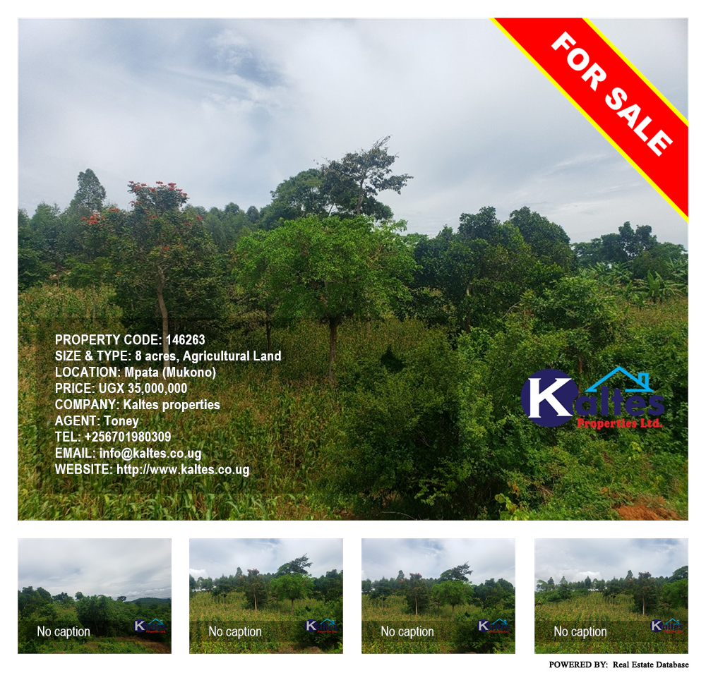 Agricultural Land  for sale in Mpata Mukono Uganda, code: 146263