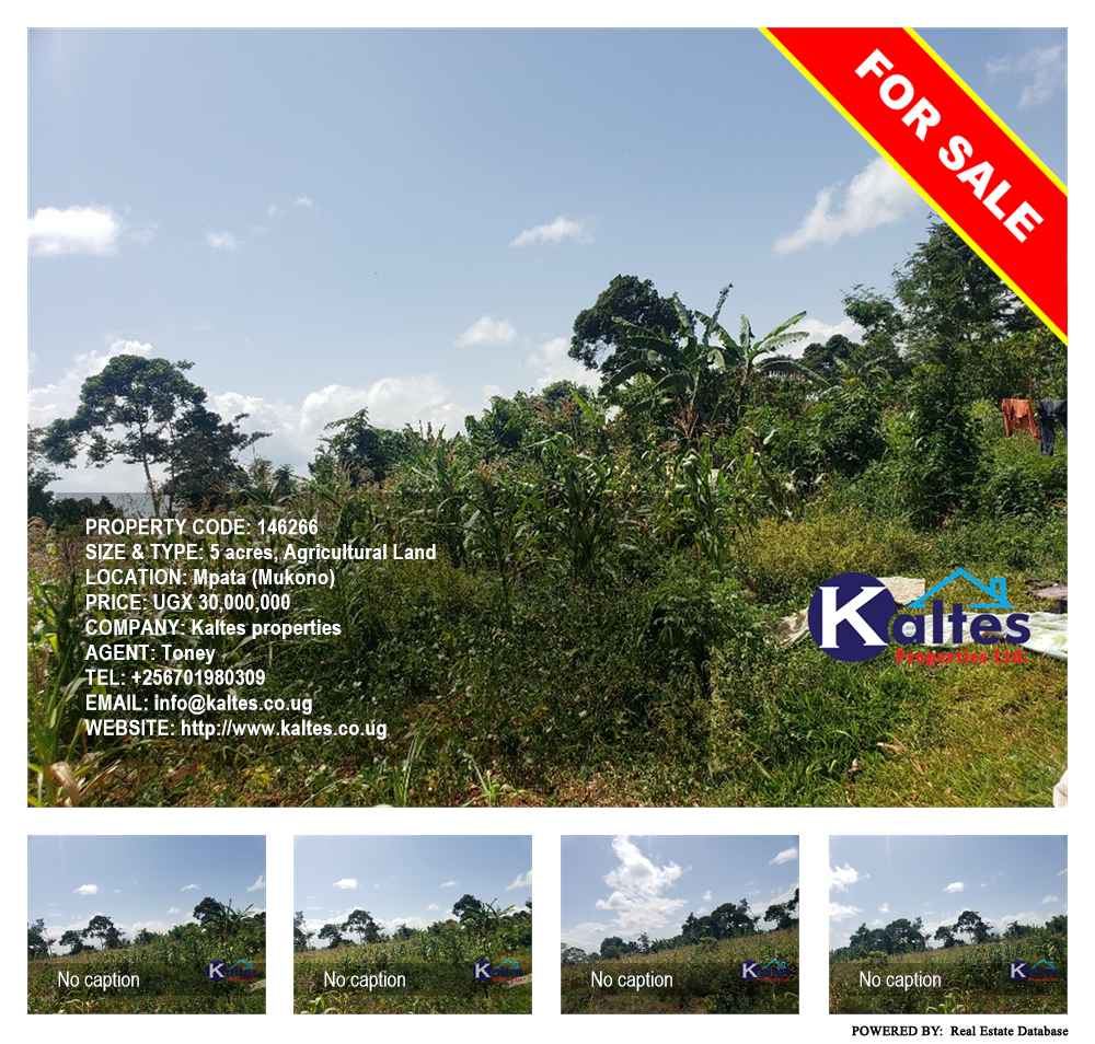 Agricultural Land  for sale in Mpata Mukono Uganda, code: 146266