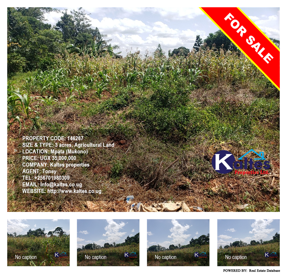 Agricultural Land  for sale in Mpata Mukono Uganda, code: 146267