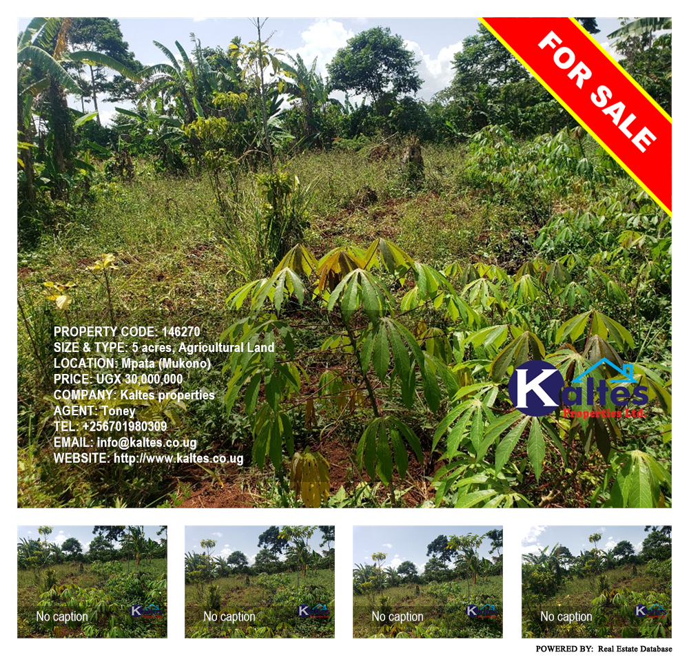 Agricultural Land  for sale in Mpata Mukono Uganda, code: 146270