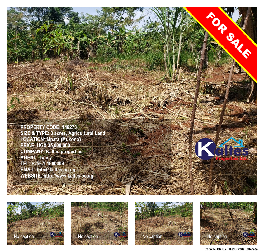 Agricultural Land  for sale in Mpata Mukono Uganda, code: 146273
