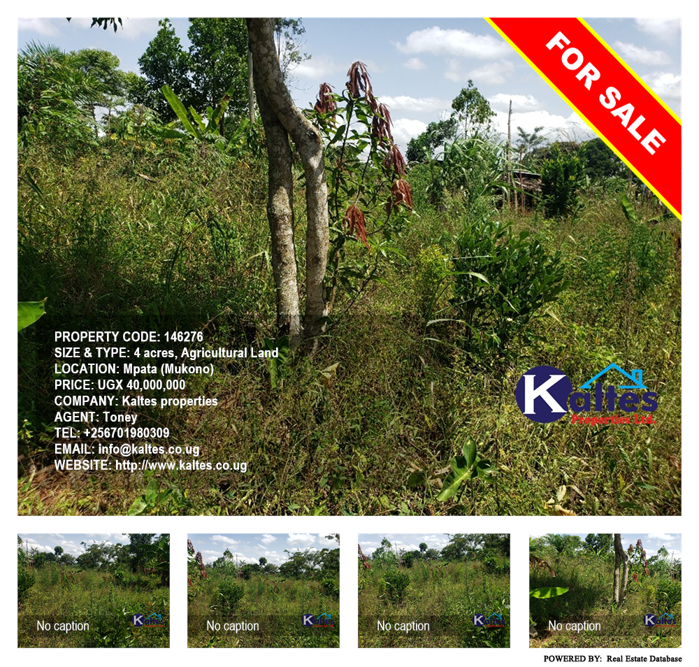 Agricultural Land  for sale in Mpata Mukono Uganda, code: 146276