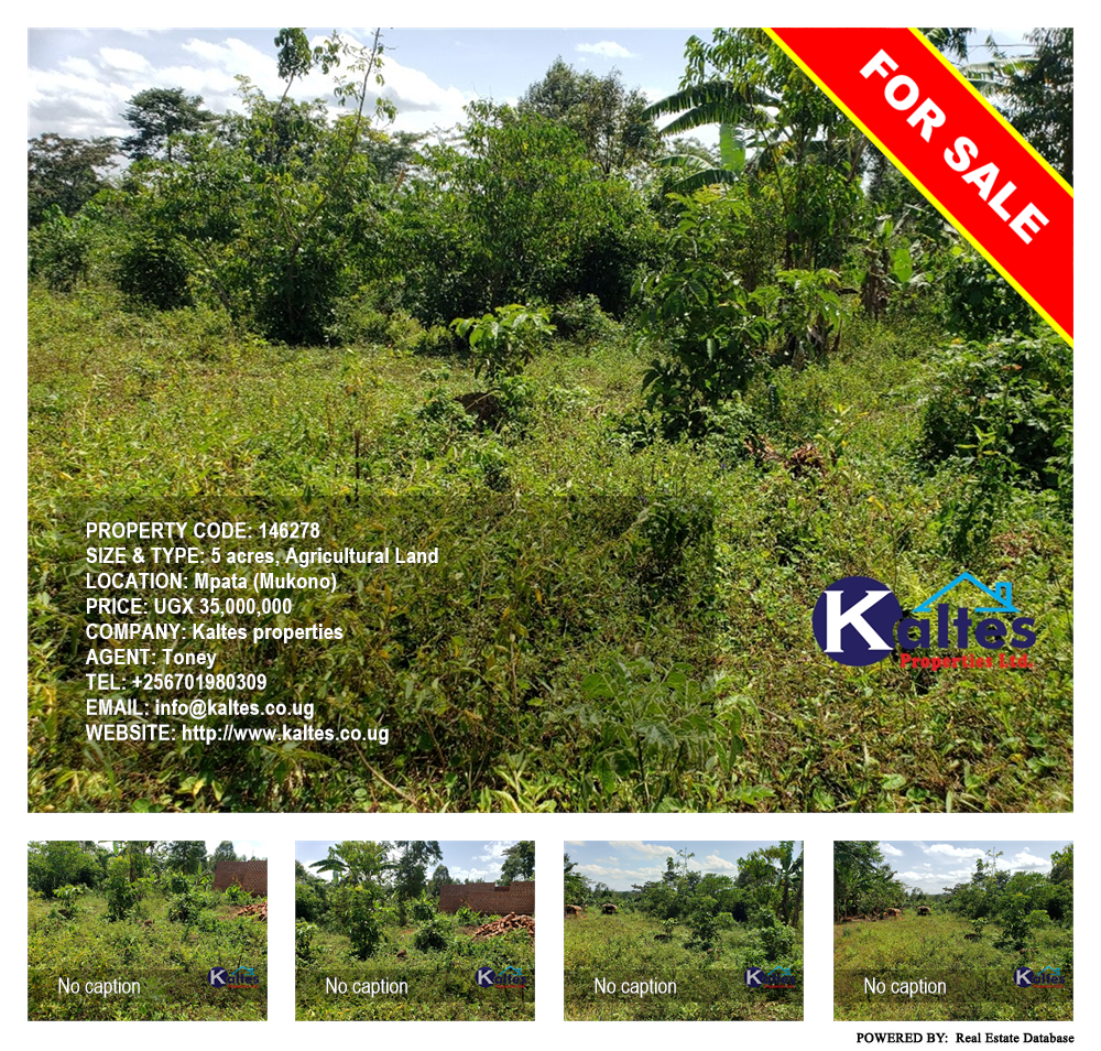 Agricultural Land  for sale in Mpata Mukono Uganda, code: 146278