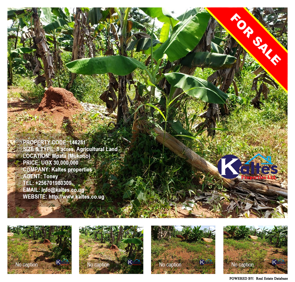 Agricultural Land  for sale in Mpata Mukono Uganda, code: 146281