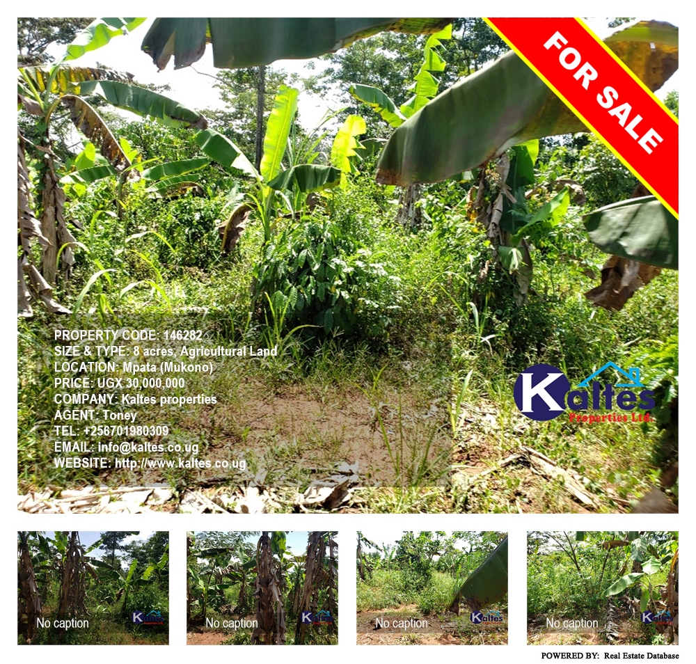 Agricultural Land  for sale in Mpata Mukono Uganda, code: 146282