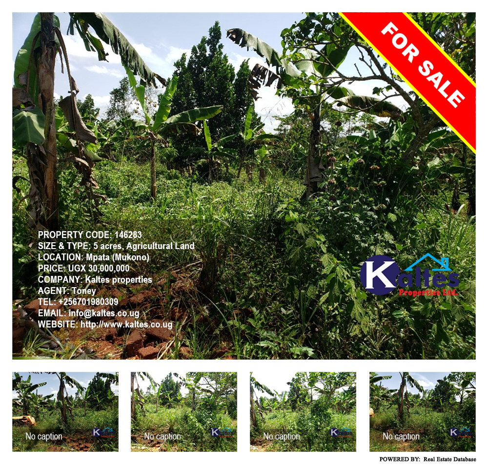 Agricultural Land  for sale in Mpata Mukono Uganda, code: 146283