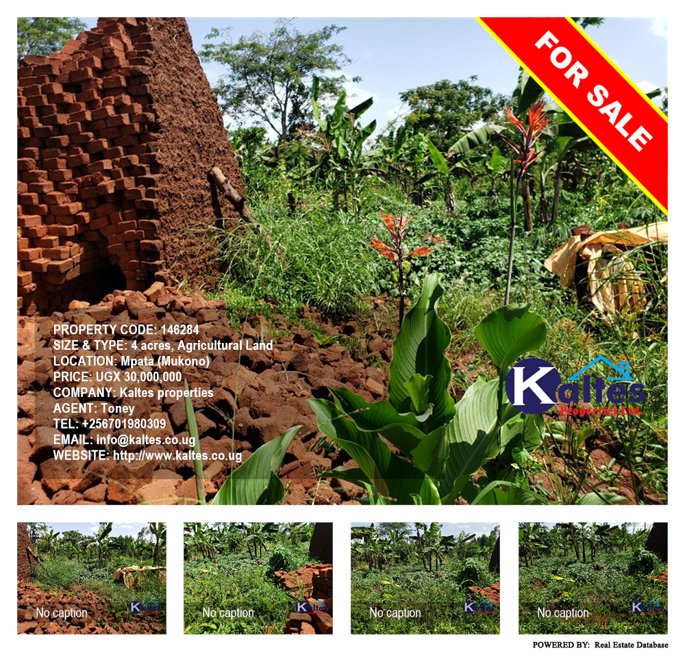 Agricultural Land  for sale in Mpata Mukono Uganda, code: 146284