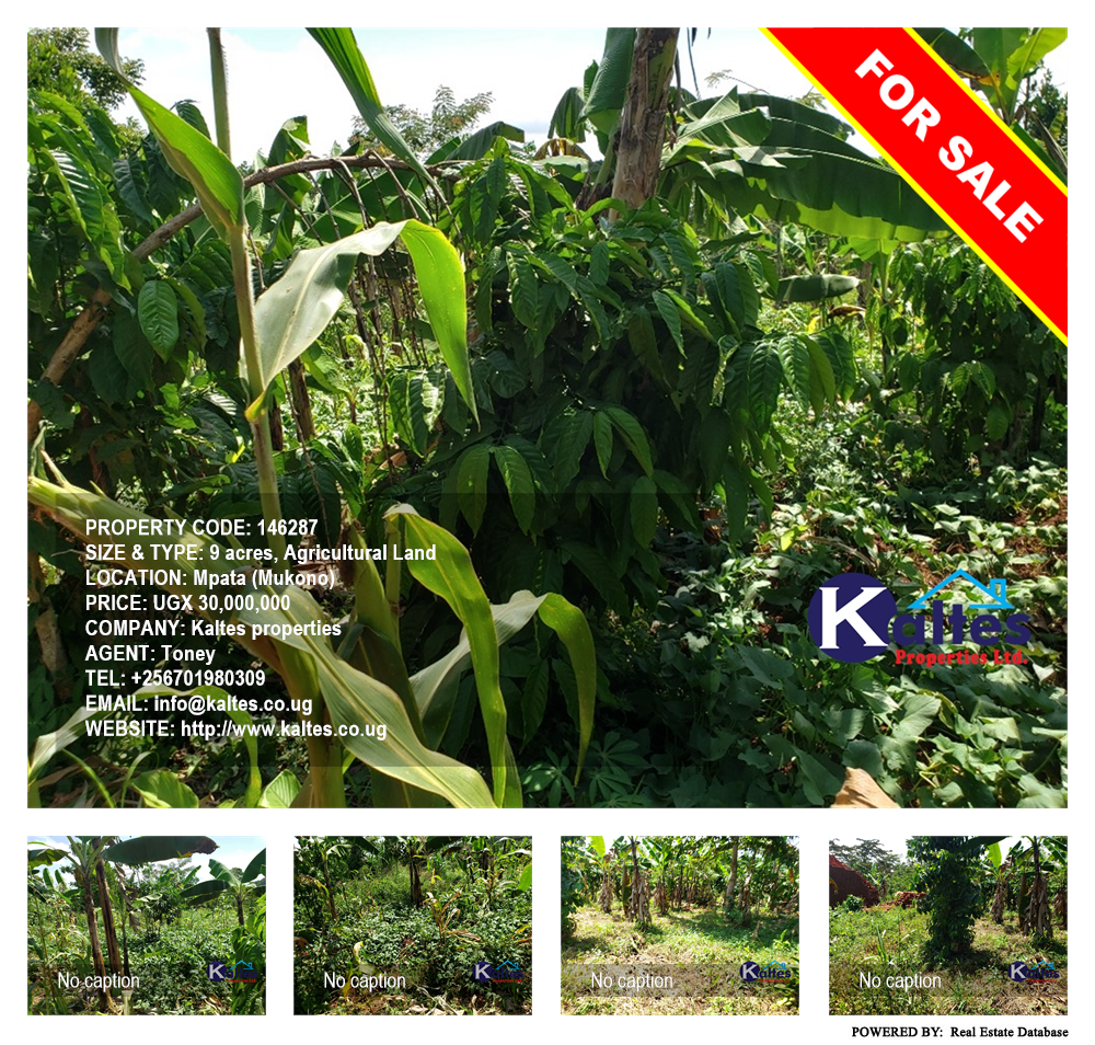 Agricultural Land  for sale in Mpata Mukono Uganda, code: 146287