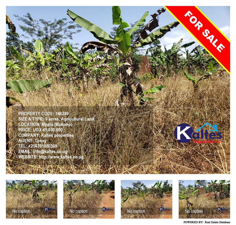 Agricultural Land  for sale in Mpata Mukono Uganda, code: 146289