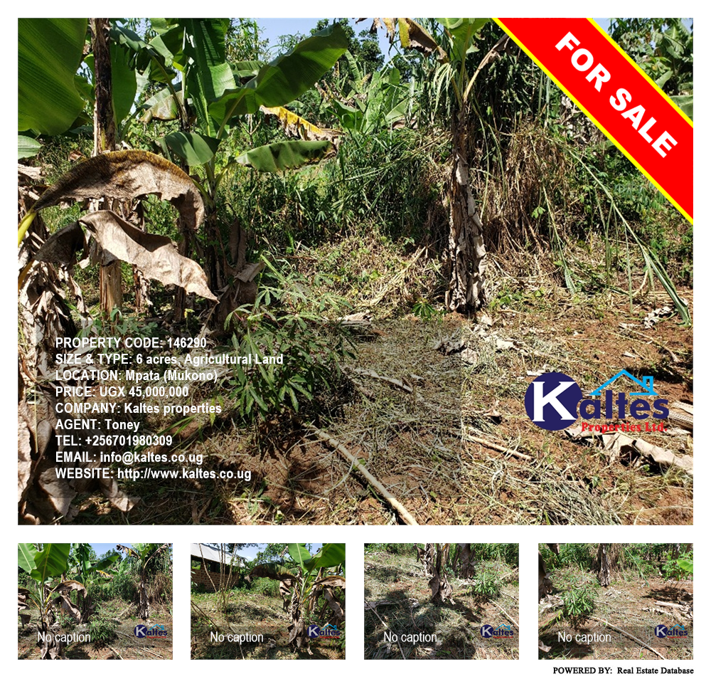 Agricultural Land  for sale in Mpata Mukono Uganda, code: 146290
