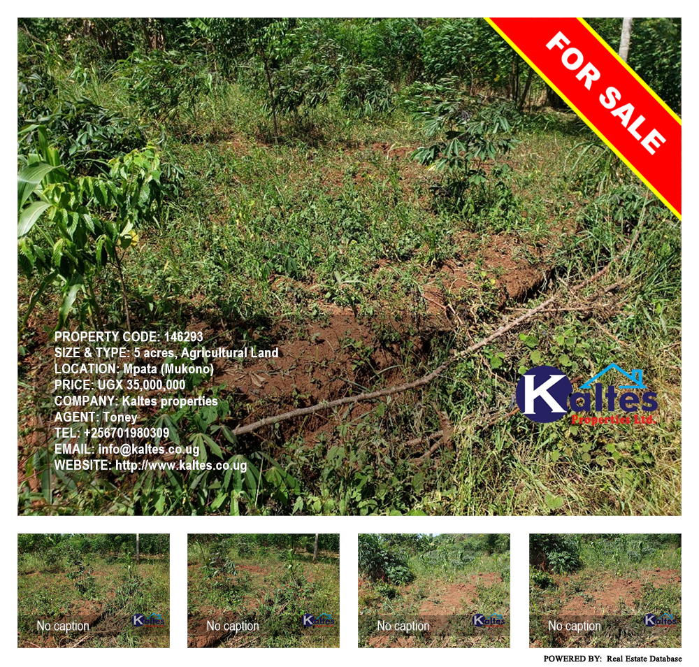 Agricultural Land  for sale in Mpata Mukono Uganda, code: 146293