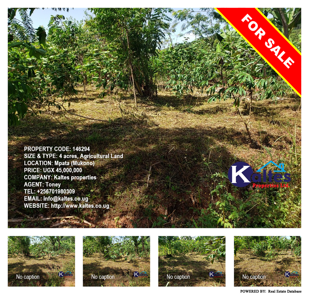 Agricultural Land  for sale in Mpata Mukono Uganda, code: 146294