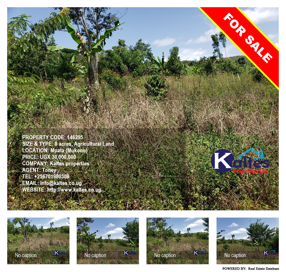 Agricultural Land  for sale in Mpata Mukono Uganda, code: 146295