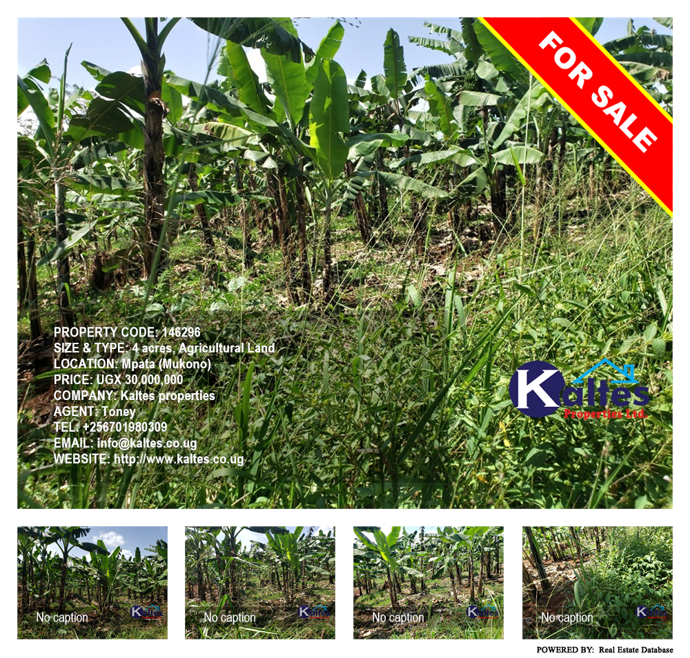Agricultural Land  for sale in Mpata Mukono Uganda, code: 146296