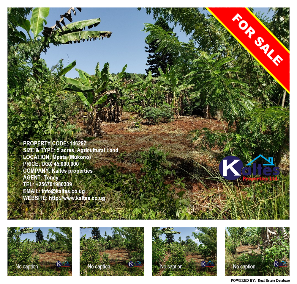 Agricultural Land  for sale in Mpata Mukono Uganda, code: 146297