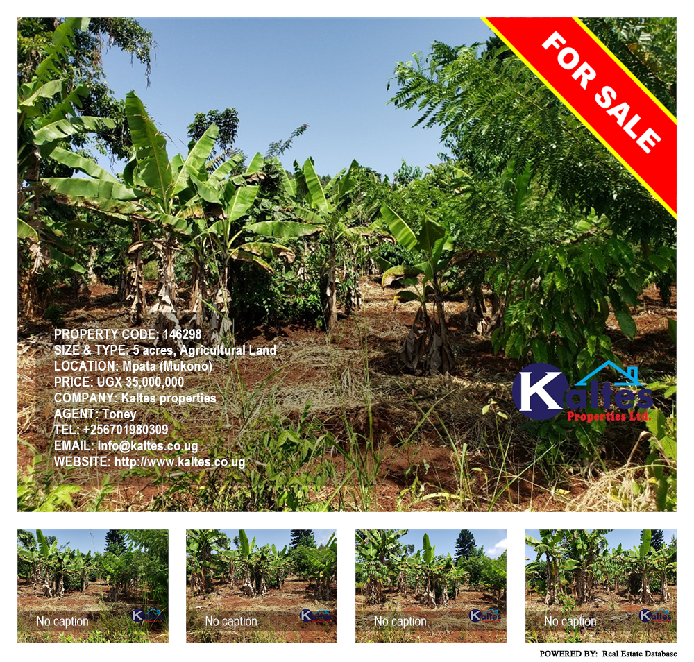 Agricultural Land  for sale in Mpata Mukono Uganda, code: 146298