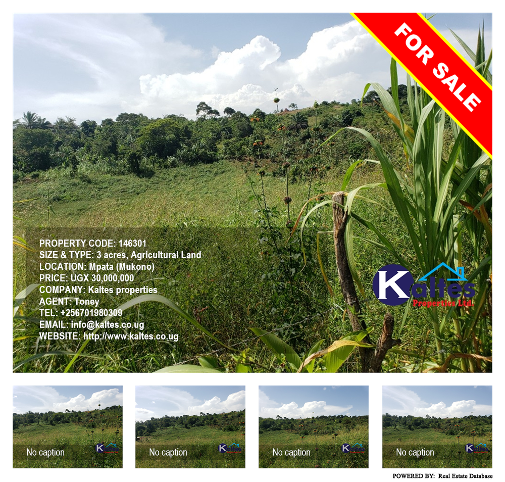 Agricultural Land  for sale in Mpata Mukono Uganda, code: 146301