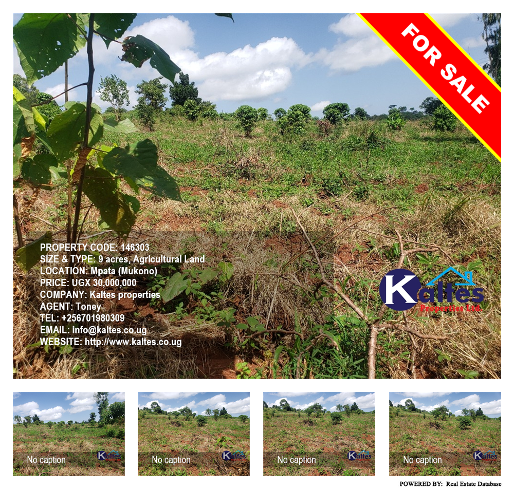 Agricultural Land  for sale in Mpata Mukono Uganda, code: 146303