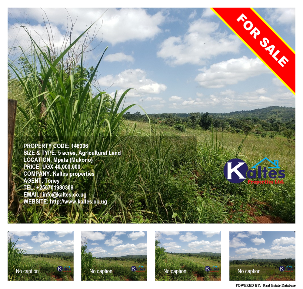 Agricultural Land  for sale in Mpata Mukono Uganda, code: 146306