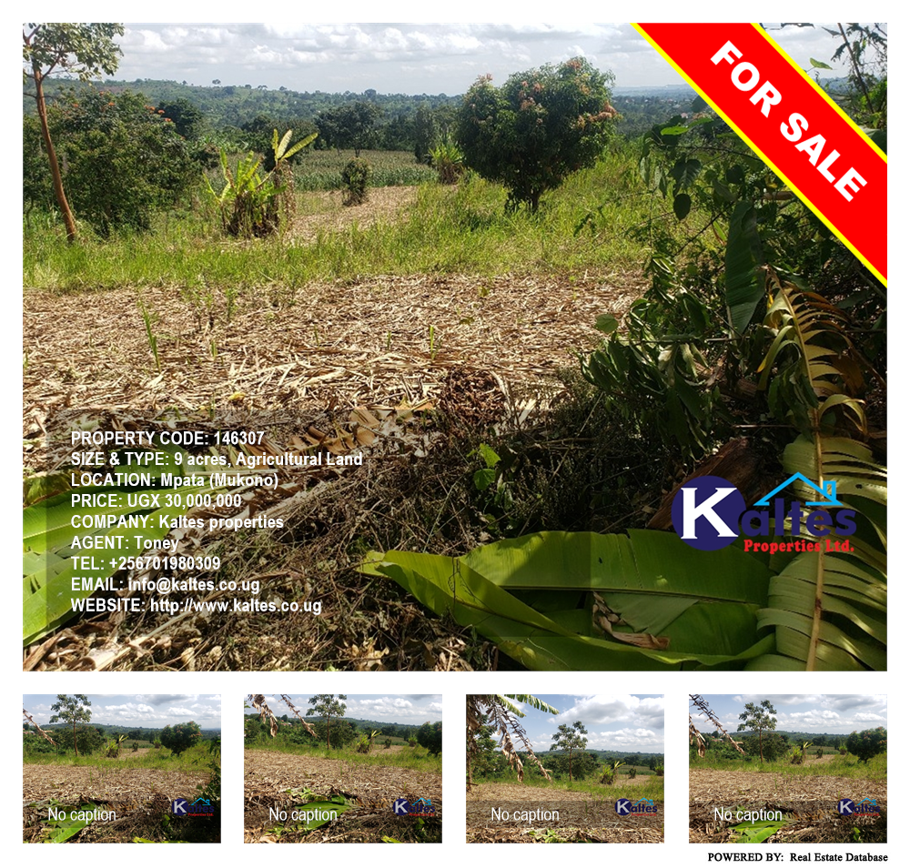 Agricultural Land  for sale in Mpata Mukono Uganda, code: 146307