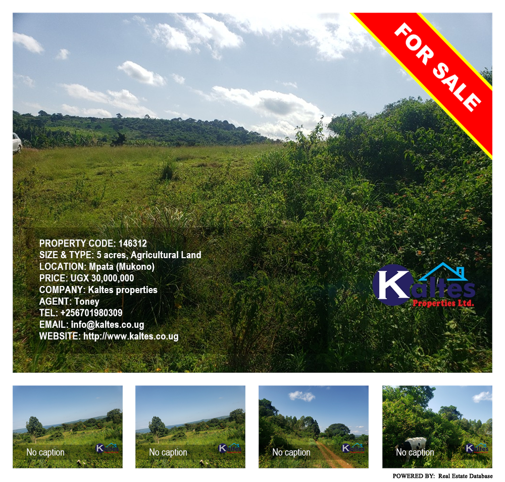 Agricultural Land  for sale in Mpata Mukono Uganda, code: 146312