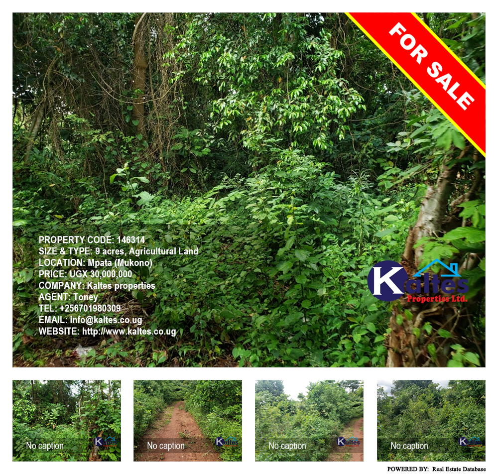Agricultural Land  for sale in Mpata Mukono Uganda, code: 146314