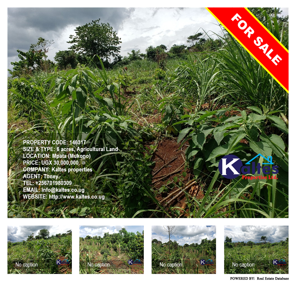 Agricultural Land  for sale in Mpata Mukono Uganda, code: 146317