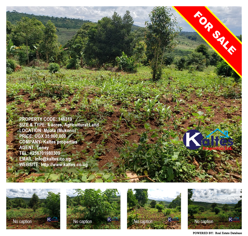 Agricultural Land  for sale in Mpata Mukono Uganda, code: 146319