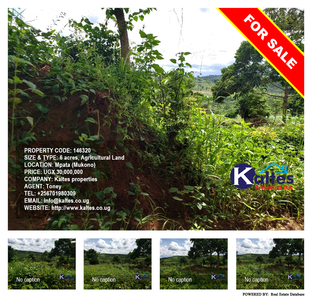 Agricultural Land  for sale in Mpata Mukono Uganda, code: 146320