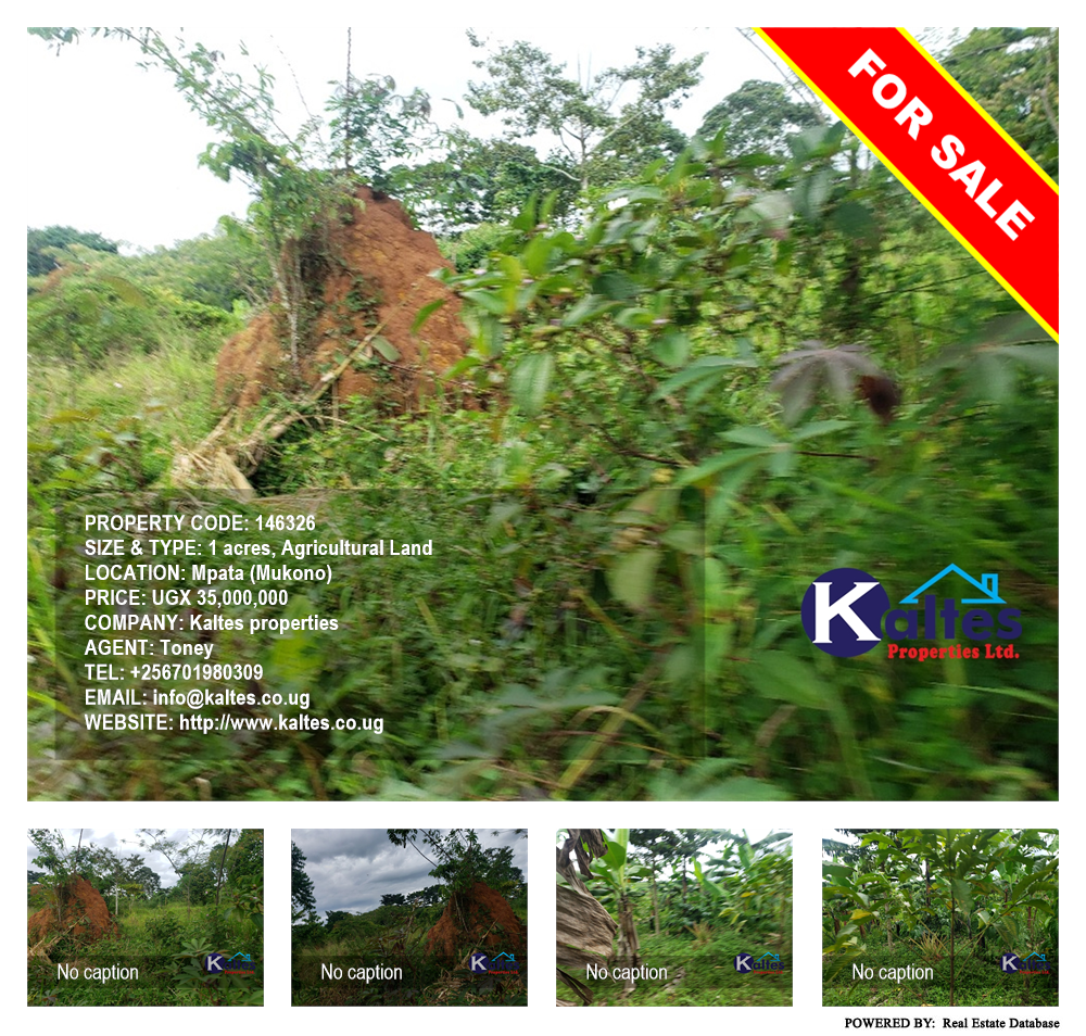 Agricultural Land  for sale in Mpata Mukono Uganda, code: 146326