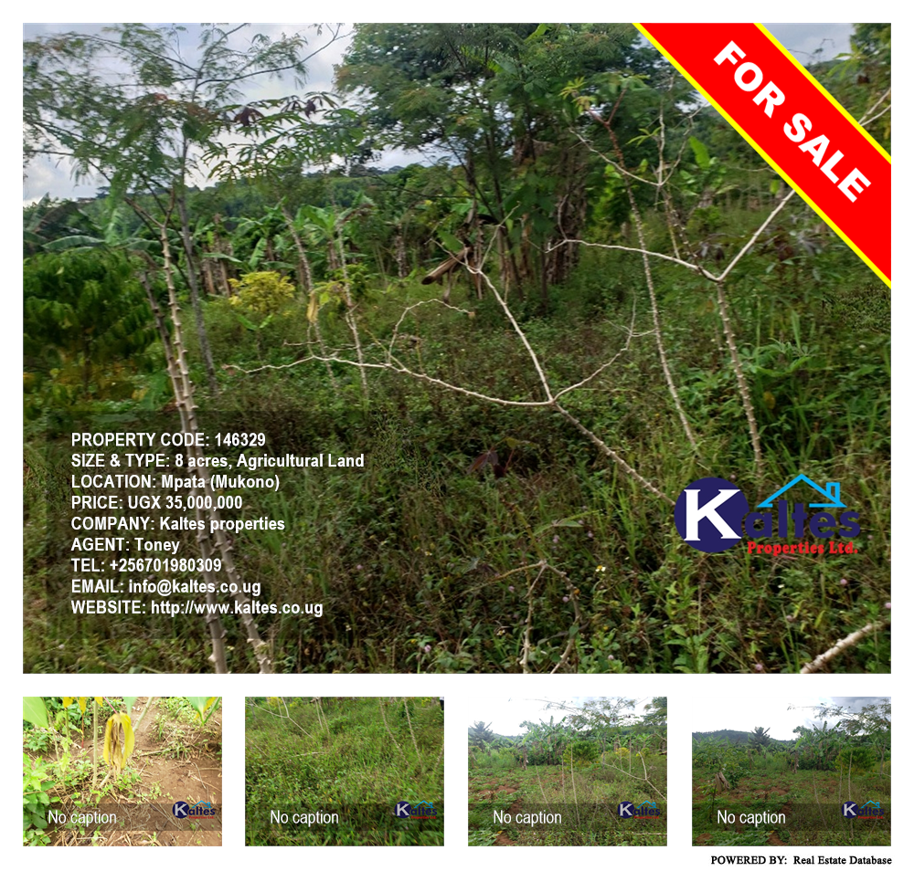 Agricultural Land  for sale in Mpata Mukono Uganda, code: 146329
