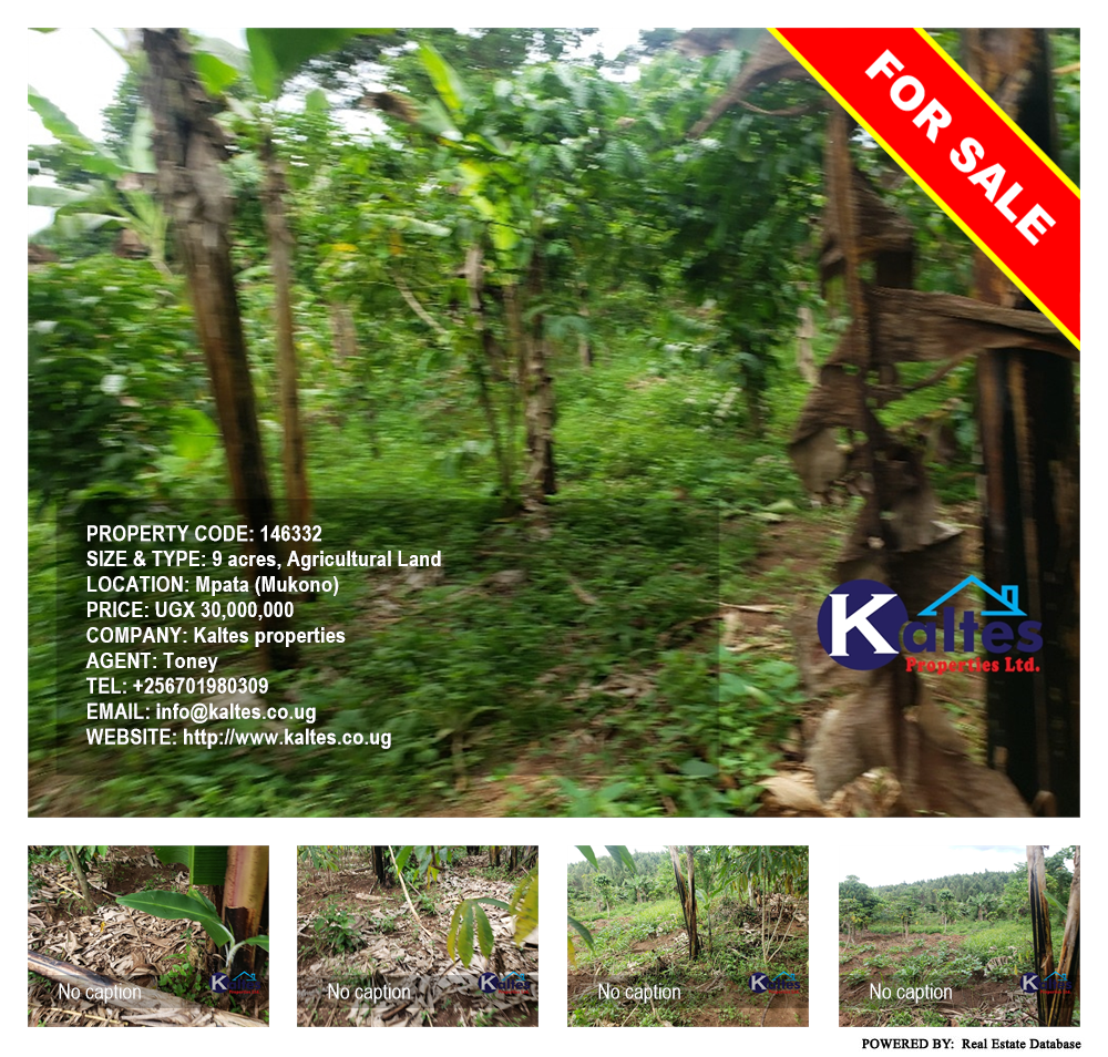 Agricultural Land  for sale in Mpata Mukono Uganda, code: 146332