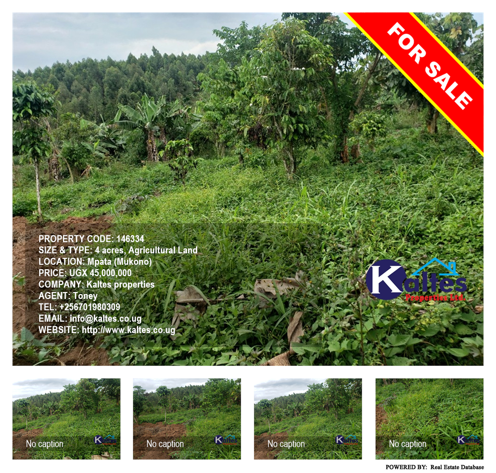 Agricultural Land  for sale in Mpata Mukono Uganda, code: 146334