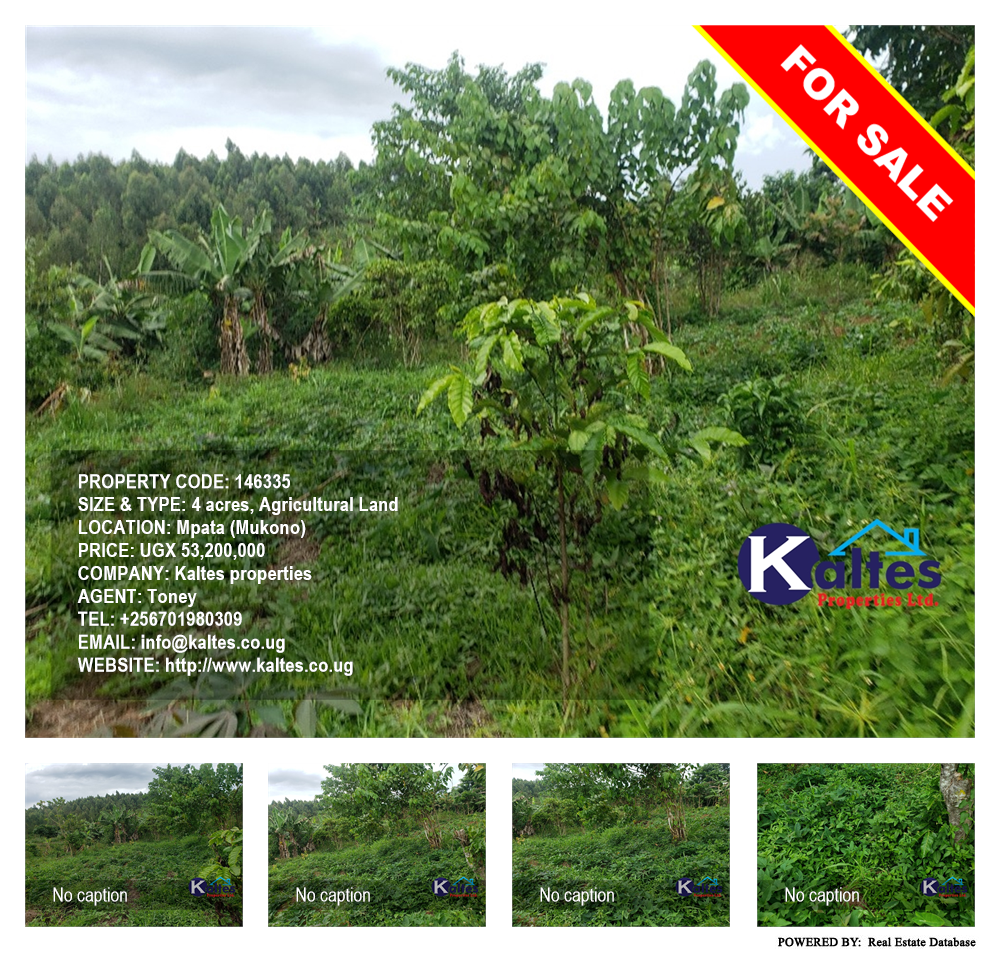Agricultural Land  for sale in Mpata Mukono Uganda, code: 146335