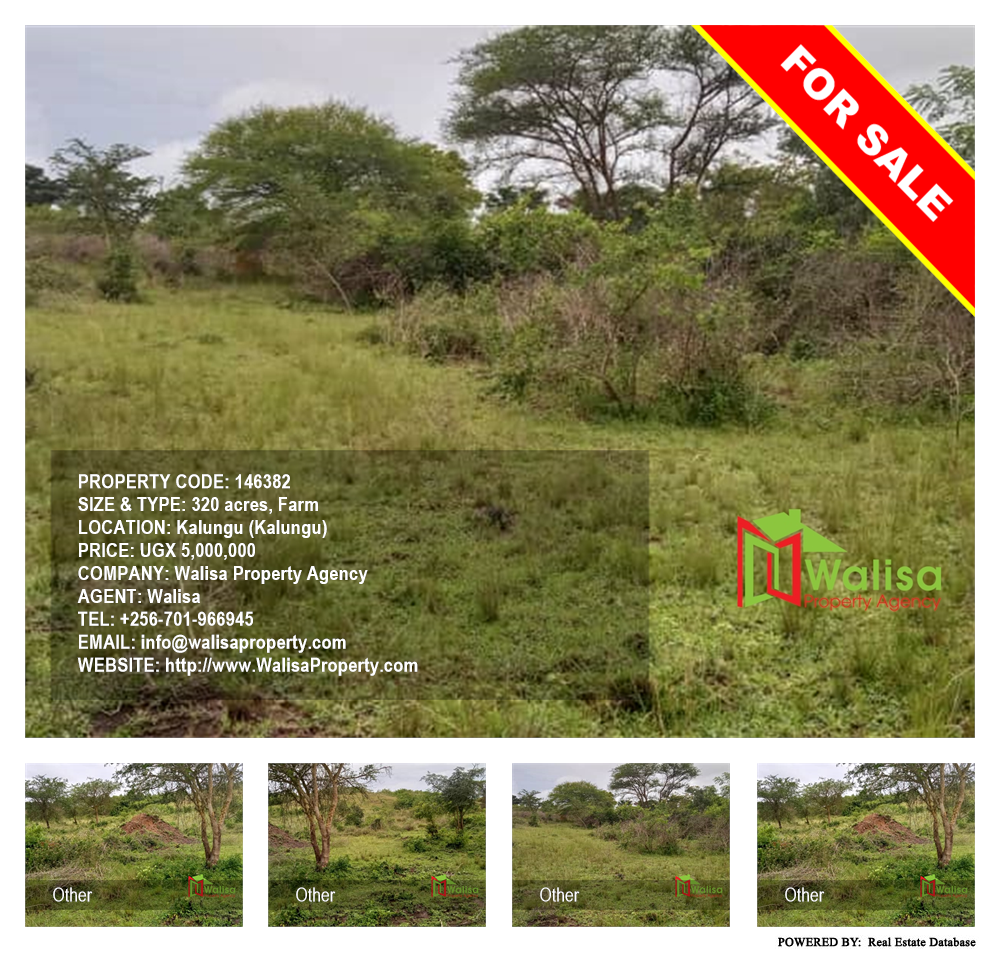 Farm  for sale in Kalungu Kalungu Uganda, code: 146382