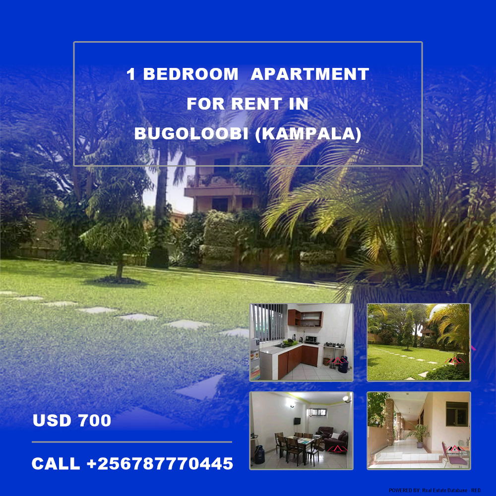 1 bedroom Apartment  for rent in Bugoloobi Kampala Uganda, code: 146444