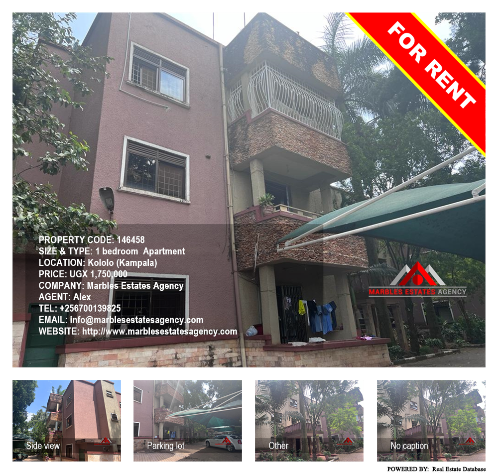 1 bedroom Apartment  for rent in Kololo Kampala Uganda, code: 146458